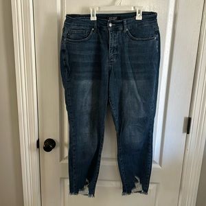Judy Blue skinny fit size 16W jeans